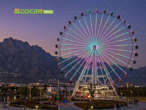 65m Ferris wheel for sale