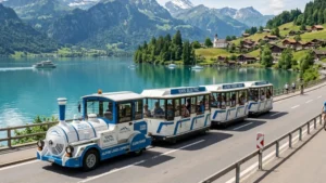 Solutions pour zones panoramiques
