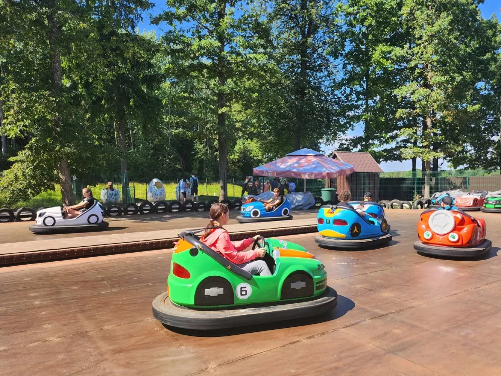 Dedicated Family Racing & Thrill Centers