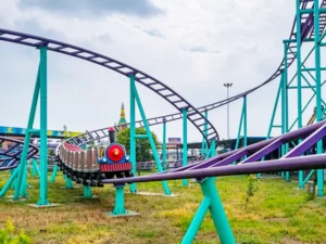 family-roller-coaster-MDRL18S